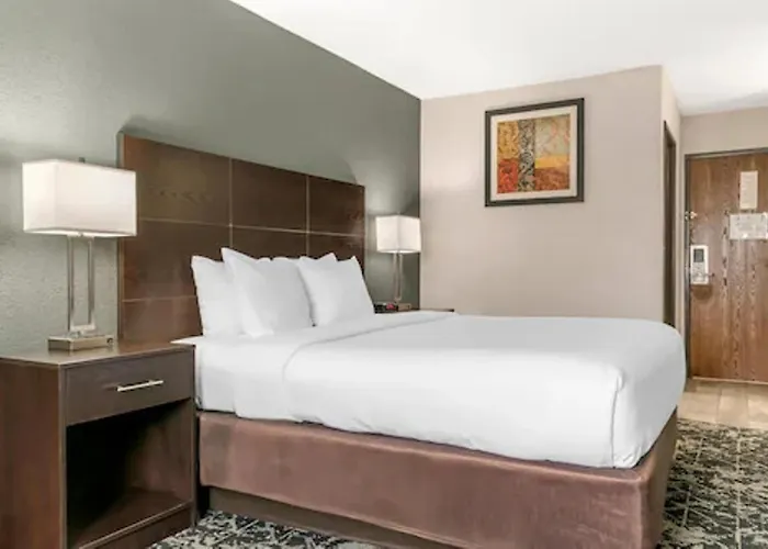 Quality Inn Grand Rapids South-Byron Center