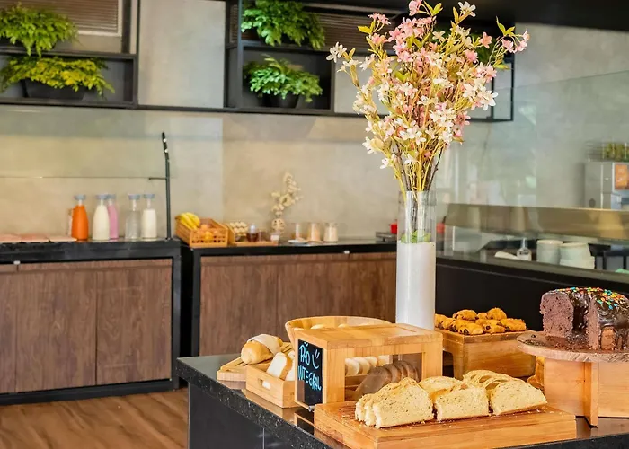 Ibis Piracicaba