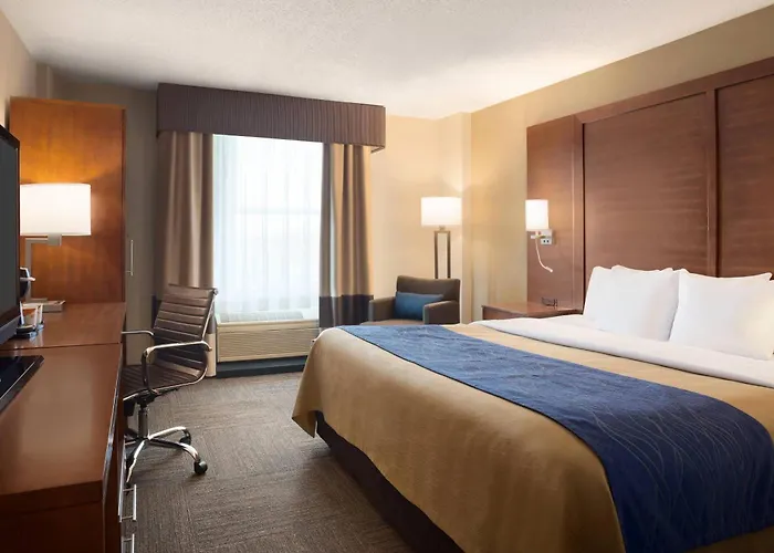 Comfort Inn & Suites Presidential