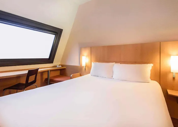 Ibis Centro
