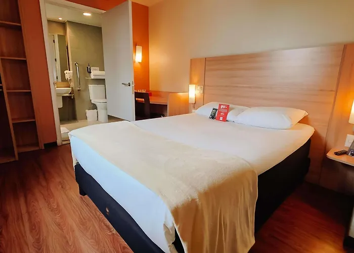 Ibis Providencia