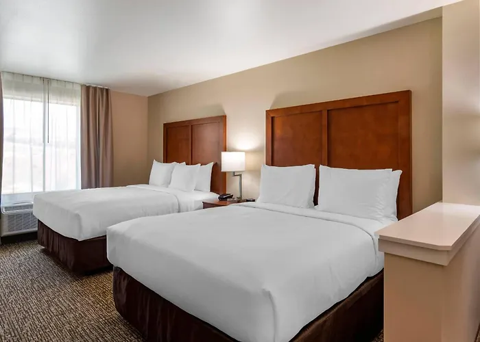 Comfort Inn & Suites Charlottesville Hollymead Town Center