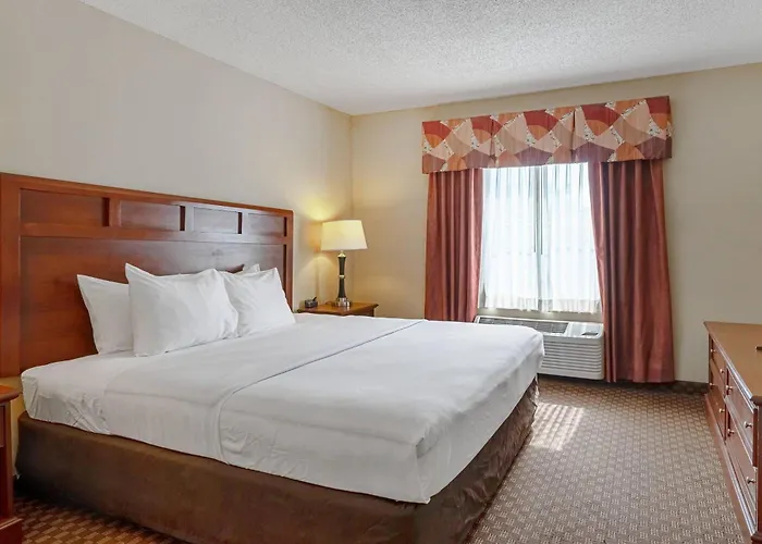 Quality Suites Northeast
