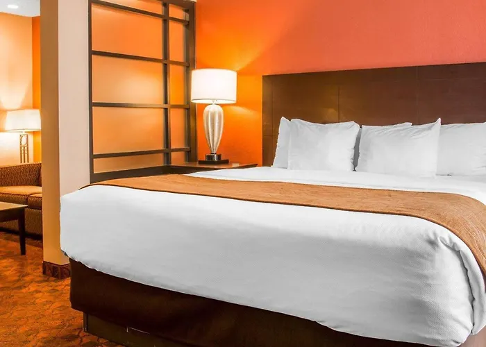Comfort Inn & Suites And Conference Center