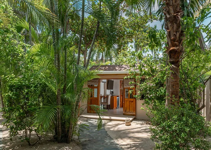 Boutique Surf Hotel Rip Jack Inn