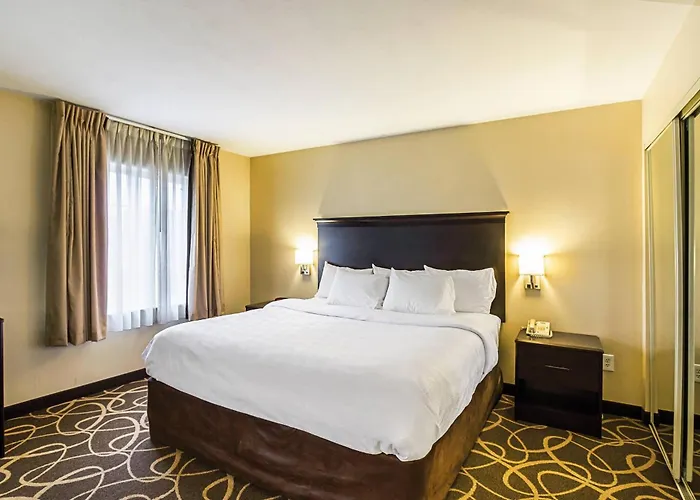 Mainstay Suites - I-94 Medical Center