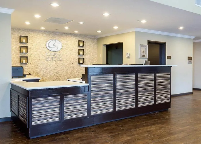 Comfort Suites Near Westchase On Beltway 8