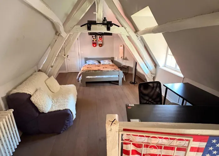 Bed and Breakfast La tanière des ours à Chaumont-sur-Tharonne