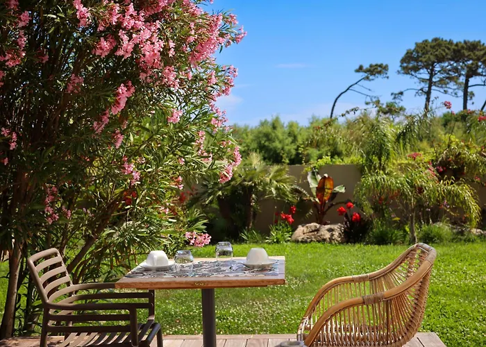 Hôtels pas chers à Calvi (Corsica)