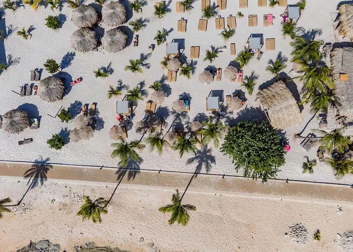 Chogogo Dive & Beach Resort Bonaire
