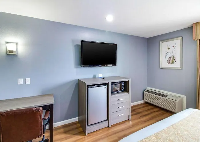 Rodeway Inn & Suites - Groves