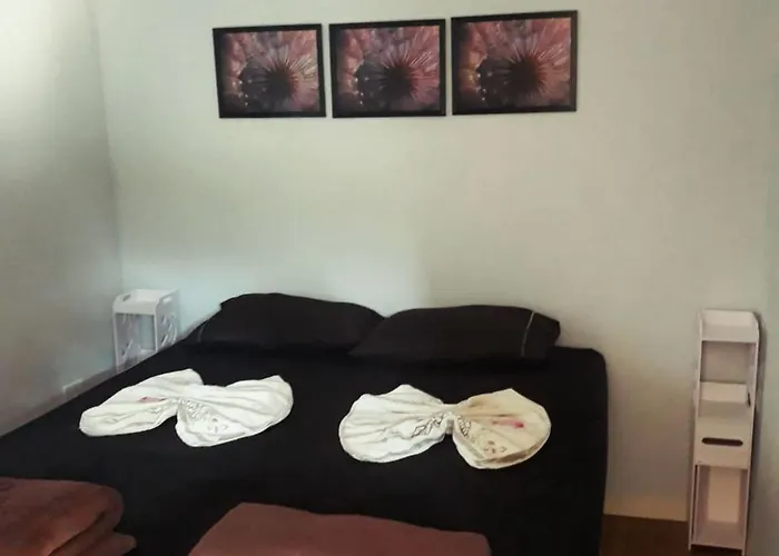 Hotel Pousada Borda Do Campo - Descanso Em Harmonia Com A Natureza
