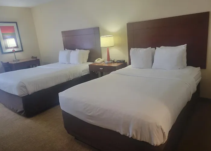 Comfort Near Fort Bragg