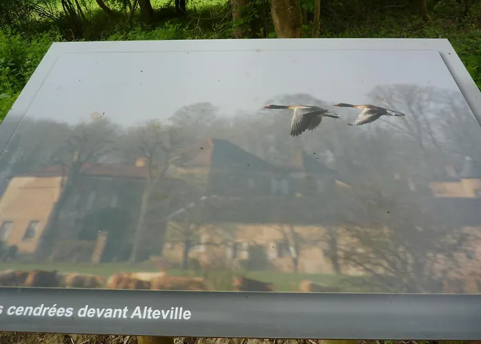 Château D'Alteville