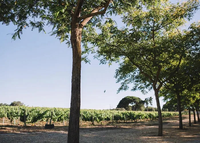 Quinta De Catralvos