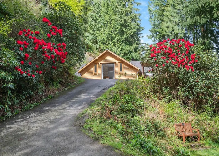 Bulworthy Forest Lodges