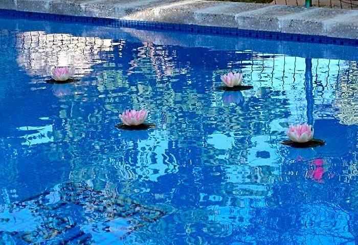 Arcas de Agua