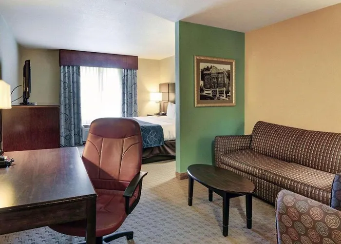 Comfort Suites Near Park