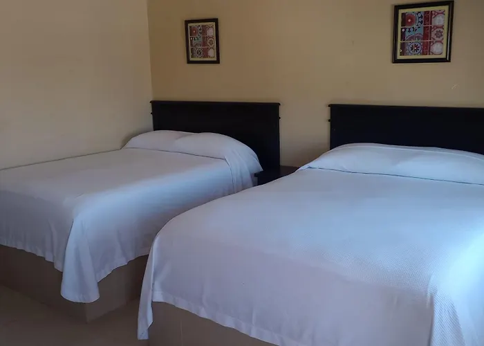 Hotel palma de oro