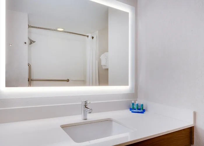 Holiday Inn Express Hotel & Suites Tampa-Fairgrounds-Casino By Ihg