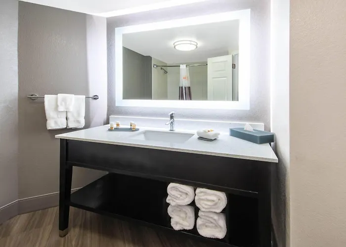 La Quinta By Wyndham Tampa Regency Park