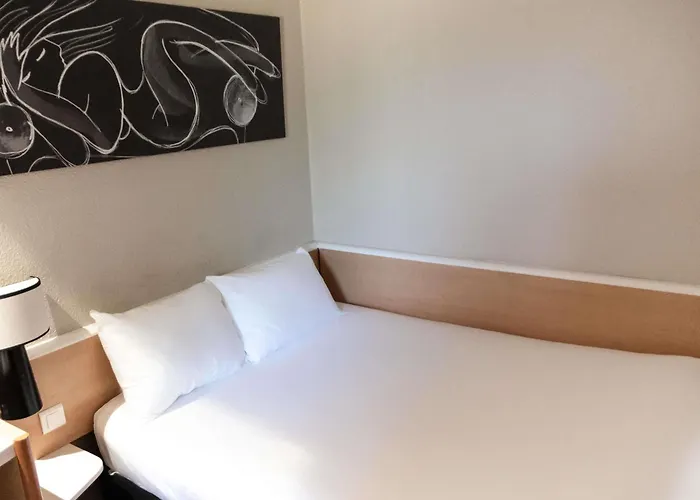 Ibis