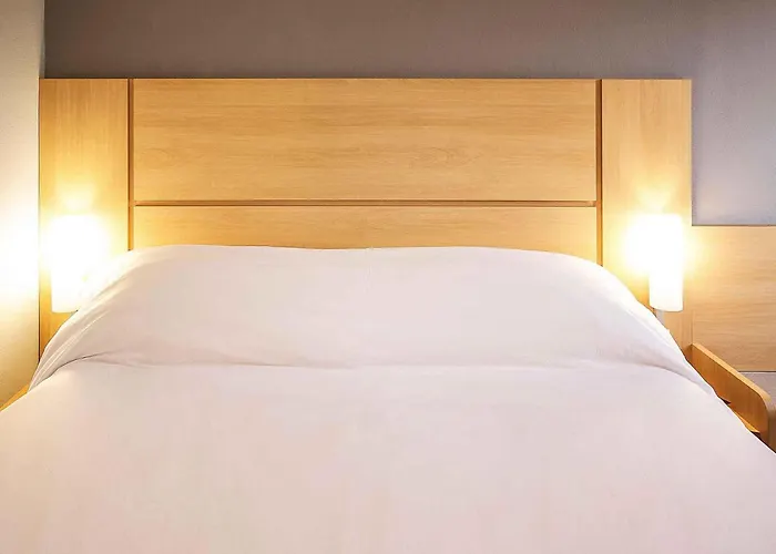 Ibis Montenegro