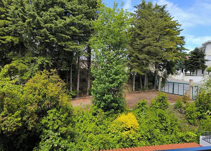 Lavanda Hotel Mira Serra