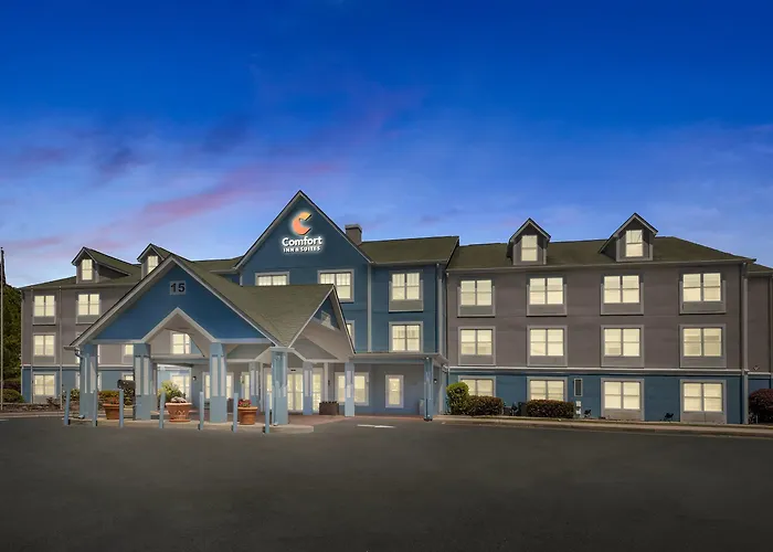 Comfort Inn & Suites South