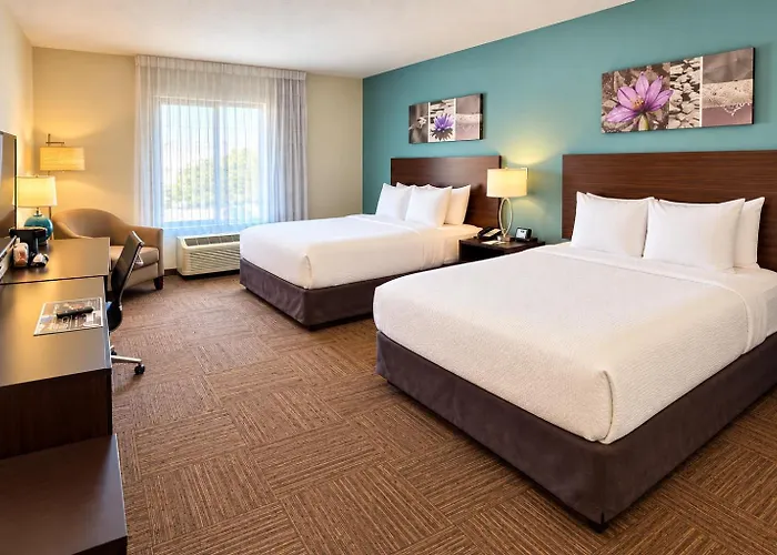 Sleep Inn & Suites Near Westchase