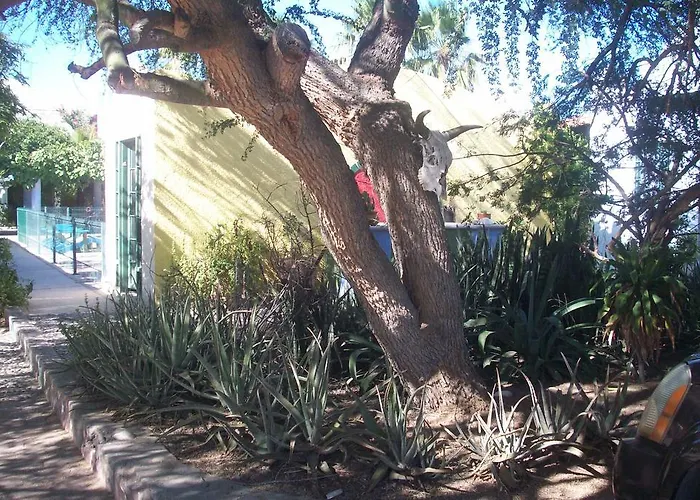 Casabuena B&B