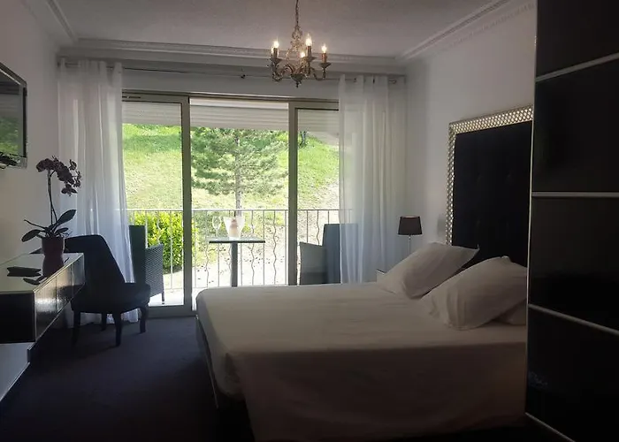 Hôtel Les Deux Lions