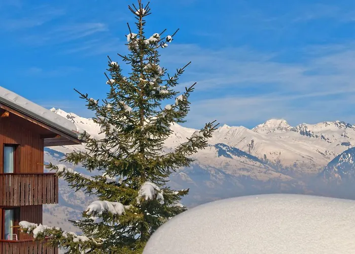 VVF Villages  Le Balcon du Mont Blanc   Montchavin La Plagne