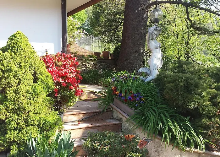 B&B Al Cedro