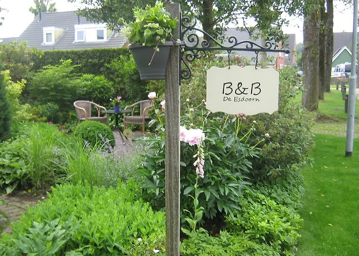 B&B De Esdoorn Norg