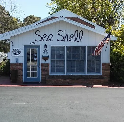 Sea Shell