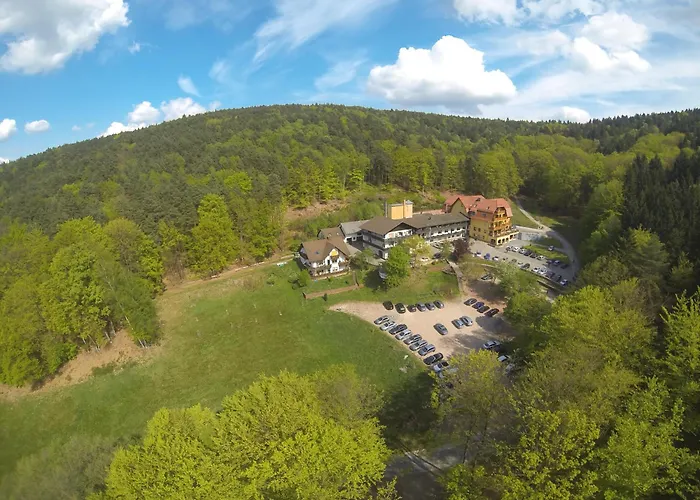 Wald-Hotel Heppe