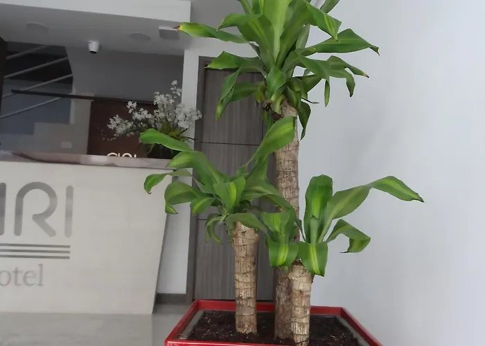 Ari Hotel