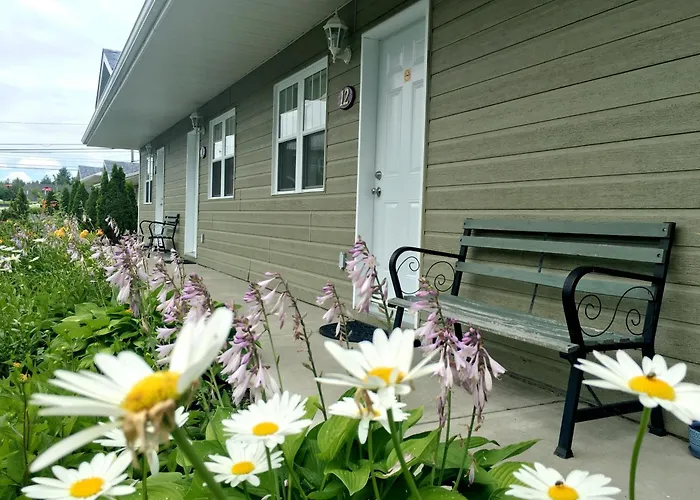 Motel Des Cedres Sherbrooke
