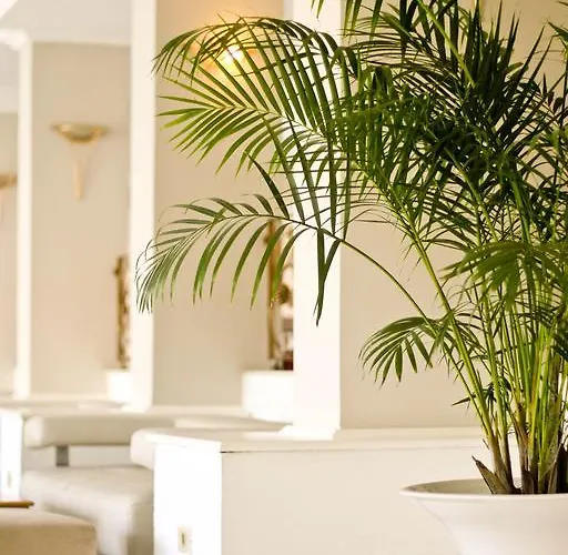 Primalife Sousse Karawan A Hotelrez Member Hotel