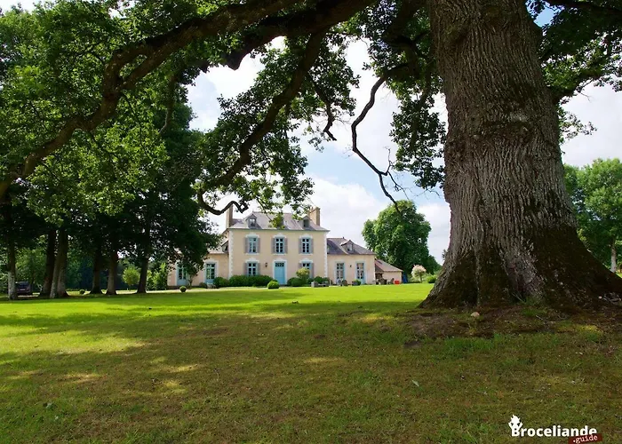 Château Du Pin - Les Collectionneurs