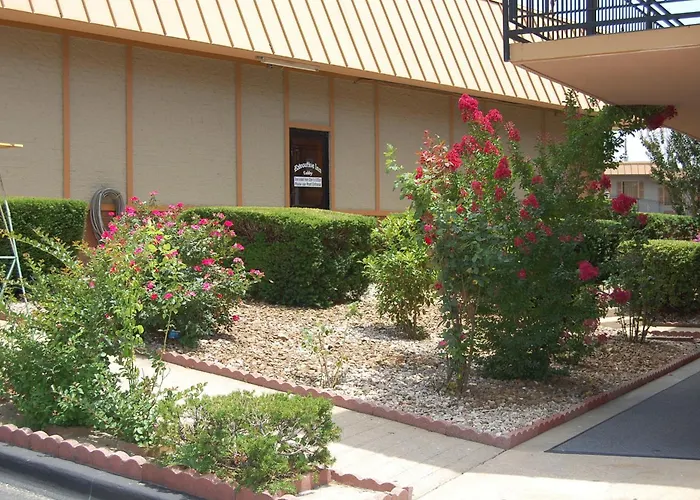 Executive Inn And Suites