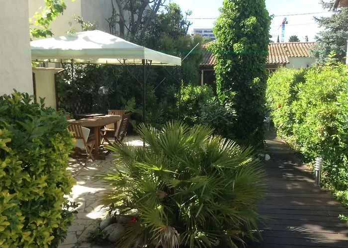 La palmeraie