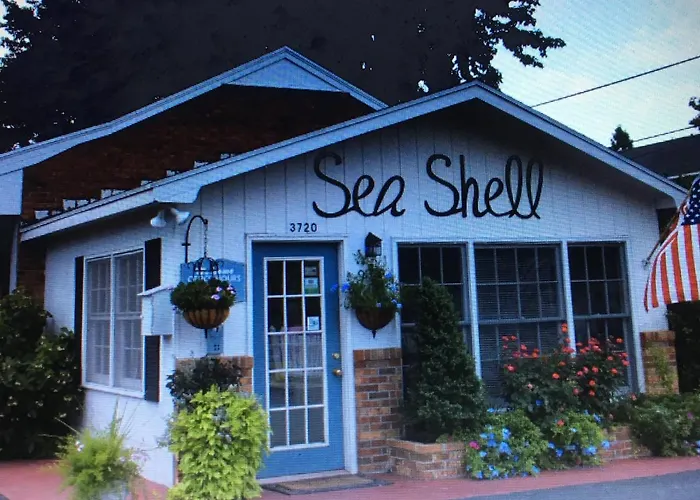 Sea Shell
