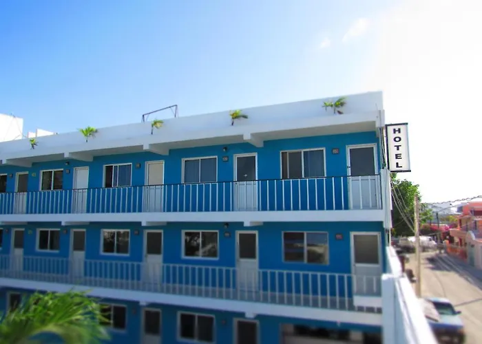 Blue Coconut